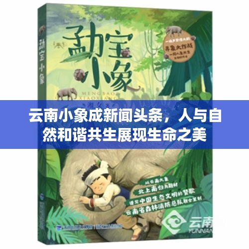 云南小象成新聞?lì)^條，人與自然和諧共生展現(xiàn)生命之美