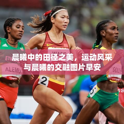 晨曦中的田徑之美，運動風(fēng)采與晨曦的交融圖片早安