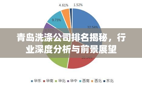 青島洗滌公司排名揭秘，行業(yè)深度分析與前景展望