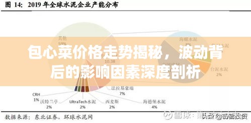 包心菜價(jià)格走勢(shì)揭秘，波動(dòng)背后的影響因素深度剖析