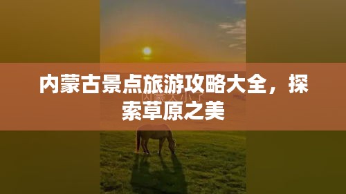 內(nèi)蒙古景點旅游攻略大全，探索草原之美