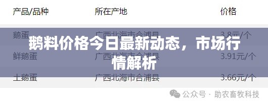 鵝料價格今日最新動態(tài)，市場行情解析