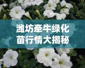 濰坊牽牛綠化苗行情大揭秘，最新價(jià)格分析與趨勢(shì)預(yù)測(cè)