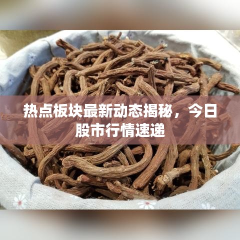 熱點板塊最新動態(tài)揭秘，今日股市行情速遞