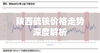 陜西硫銨價(jià)格走勢深度解析