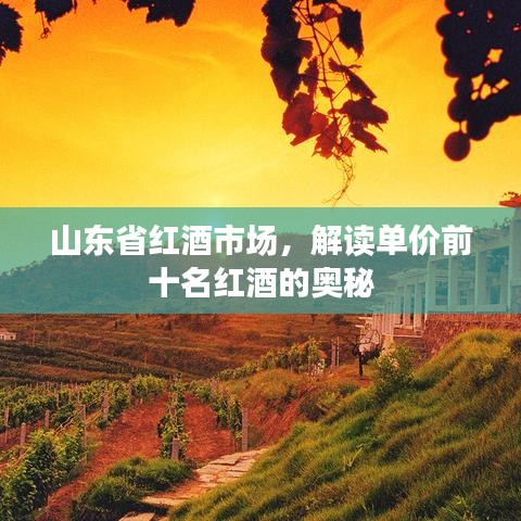 山東省紅酒市場，解讀單價前十名紅酒的奧秘