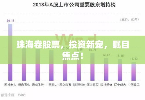 珠海卷股票，投資新寵，矚目焦點(diǎn)！