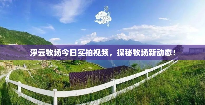 浮云牧場(chǎng)今日實(shí)拍視頻，探秘牧場(chǎng)新動(dòng)態(tài)！