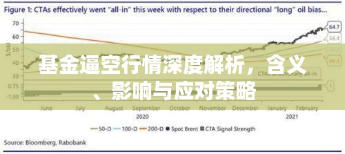 基金逼空行情深度解析，含義、影響與應(yīng)對策略