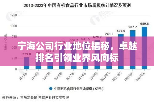 寧海公司行業(yè)地位揭秘，卓越排名引領(lǐng)業(yè)界風(fēng)向標(biāo)