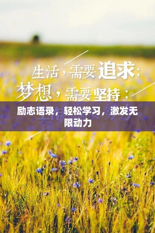 勵志語錄，輕松學習，激發(fā)無限動力