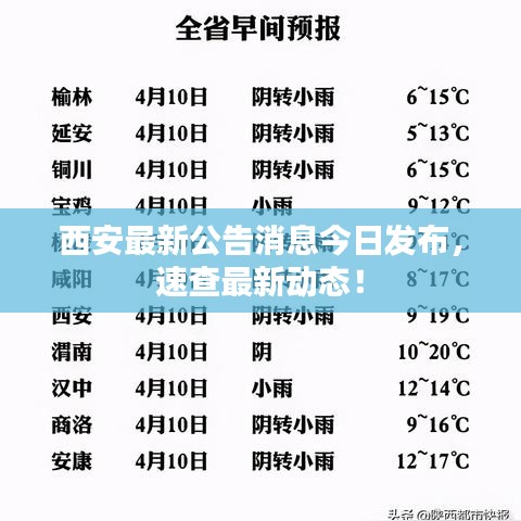 西安最新公告消息今日發(fā)布，速查最新動態(tài)！