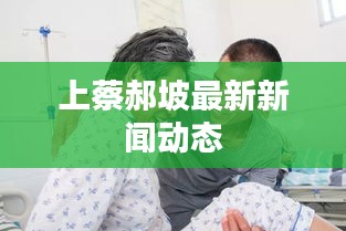 上蔡郝坡最新新聞動(dòng)態(tài)