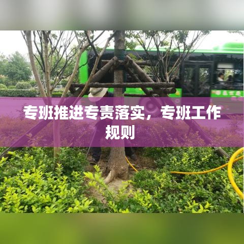 專班推進專責(zé)落實，專班工作規(guī)則 