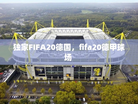 獨(dú)家FIFA20德國，fifa20德甲球場 