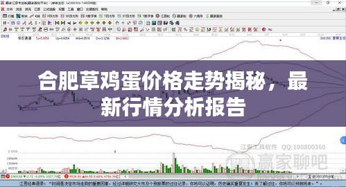 合肥草雞蛋價(jià)格走勢(shì)揭秘，最新行情分析報(bào)告
