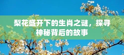 梨花盛開下的生肖之謎，探尋神秘背后的故事