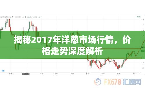 揭秘2017年洋蔥市場行情，價格走勢深度解析