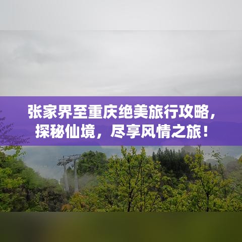 張家界至重慶絕美旅行攻略，探秘仙境，盡享風(fēng)情之旅！