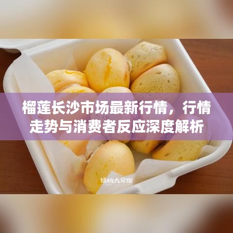 榴蓮長沙市場最新行情，行情走勢與消費者反應深度解析