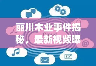 麗川木業(yè)事件揭秘，最新視頻曝光，深度探究背后真相