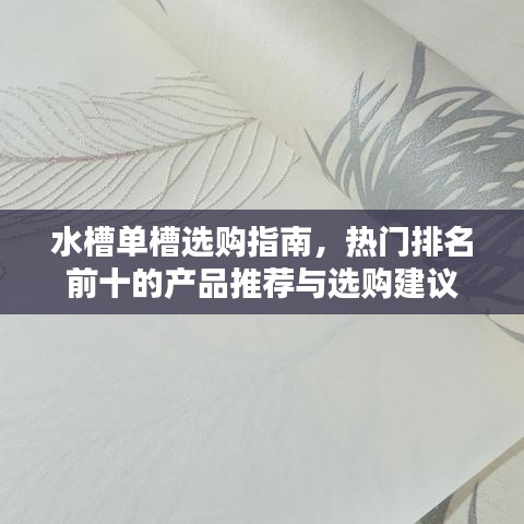 水槽單槽選購指南，熱門排名前十的產(chǎn)品推薦與選購建議