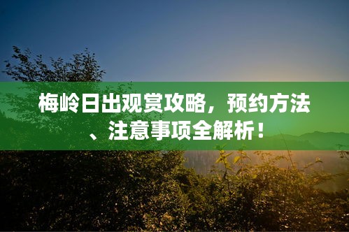 梅嶺日出觀賞攻略，預約方法、注意事項全解析！