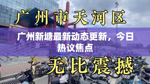 廣州新塘最新動態(tài)更新，今日熱議焦點