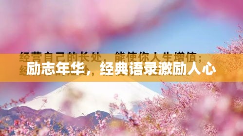 勵志年華，經(jīng)典語錄激勵人心