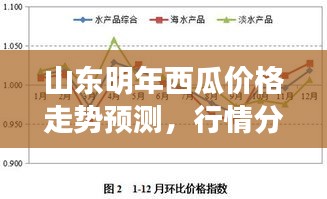 山東明年西瓜價格走勢預測，行情分析與展望