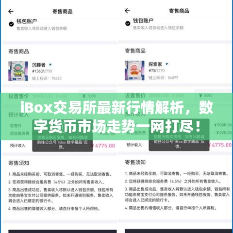 iBox交易所最新行情解析，數(shù)字貨幣市場走勢一網(wǎng)打盡！