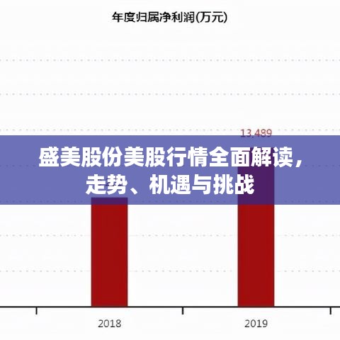 盛美股份美股行情全面解讀，走勢(shì)、機(jī)遇與挑戰(zhàn)