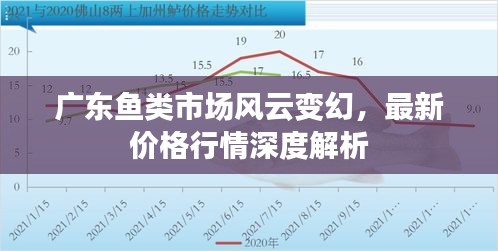 廣東魚類市場風云變幻，最新價格行情深度解析