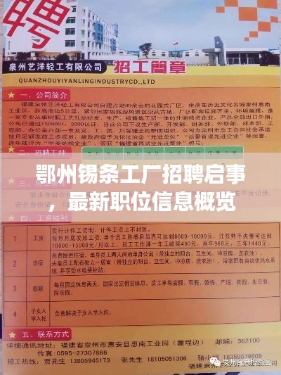 鄂州錫條工廠招聘啟事，最新職位信息概覽