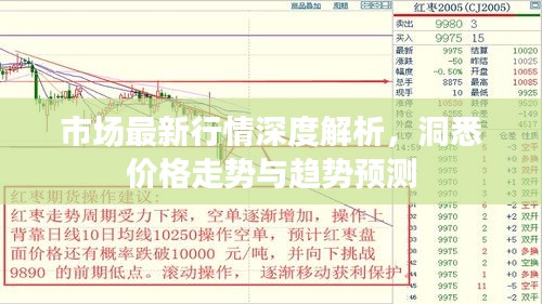 市場最新行情深度解析，洞悉價格走勢與趨勢預測