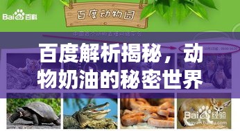 百度解析揭秘，動物奶油的秘密世界！