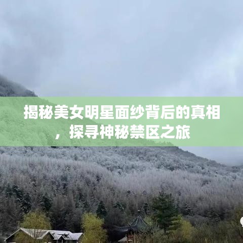 揭秘美女明星面紗背后的真相，探尋神秘禁區(qū)之旅