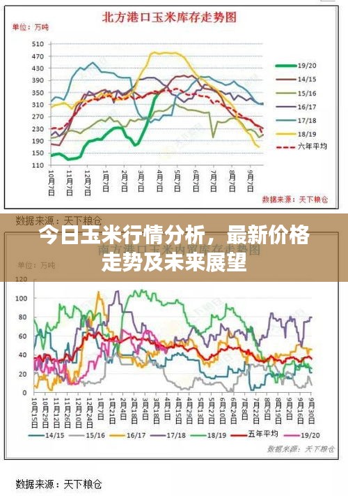 今日玉米行情分析，最新價格走勢及未來展望