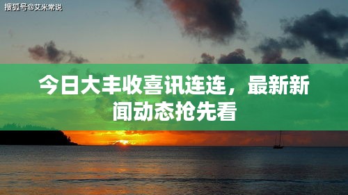 今日大豐收喜訊連連，最新新聞動態(tài)搶先看