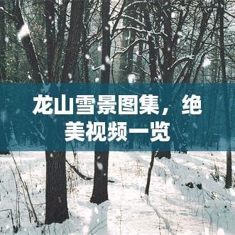 龍山雪景圖集，絕美視頻一覽