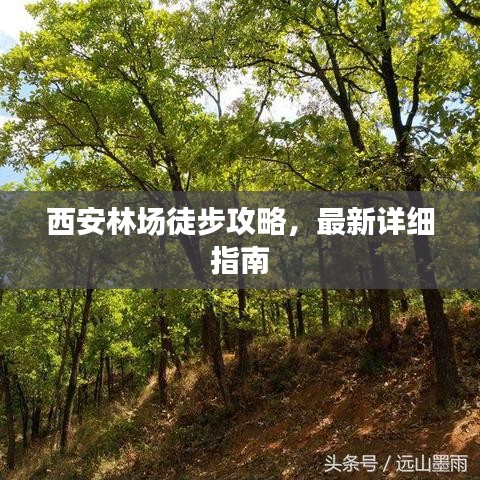 西安林場(chǎng)徒步攻略，最新詳細(xì)指南