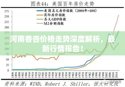 河南香杏價格走勢深度解析，最新行情報告！