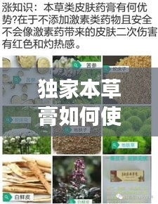 獨(dú)家本草膏如何使用，獨(dú)家本草膏有副作用嗎 