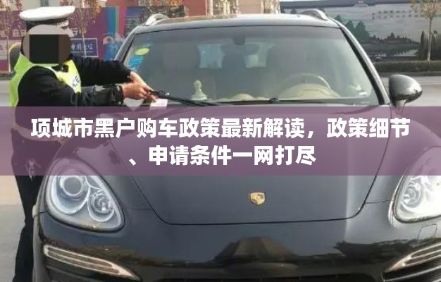 項城市黑戶購車政策最新解讀，政策細(xì)節(jié)、申請條件一網(wǎng)打盡