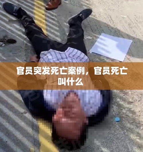 官員突發(fā)死亡案例，官員死亡叫什么 