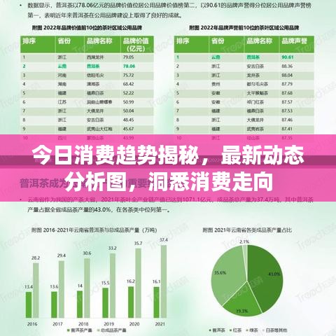 今日消費(fèi)趨勢揭秘，最新動態(tài)分析圖，洞悉消費(fèi)走向