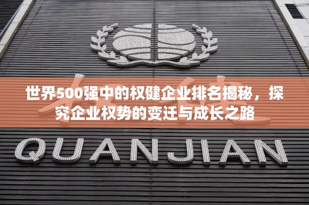 世界500強中的權健企業(yè)排名揭秘，探究企業(yè)權勢的變遷與成長之路