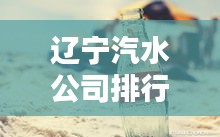 遼寧汽水公司排行榜揭曉，誰領(lǐng)風(fēng)騷？