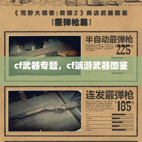 cf武器專題，cf端游武器圖鑒 