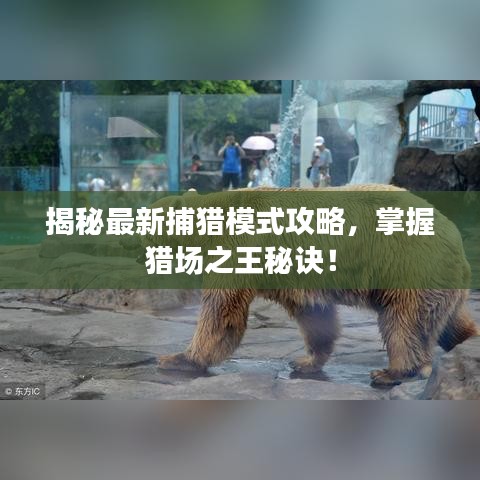 揭秘最新捕獵模式攻略，掌握獵場之王秘訣！